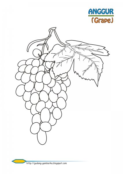 Виноград раскраска