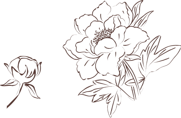 Цветы контур