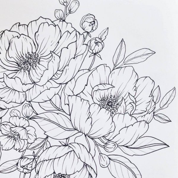 Эскиз композиции цветов