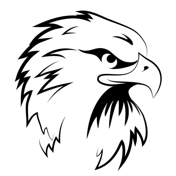 Орел рисунок