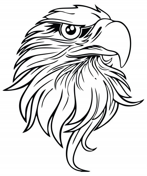 Контур головы орла