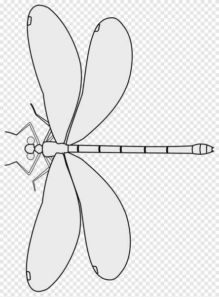 Стрекоза трафарет