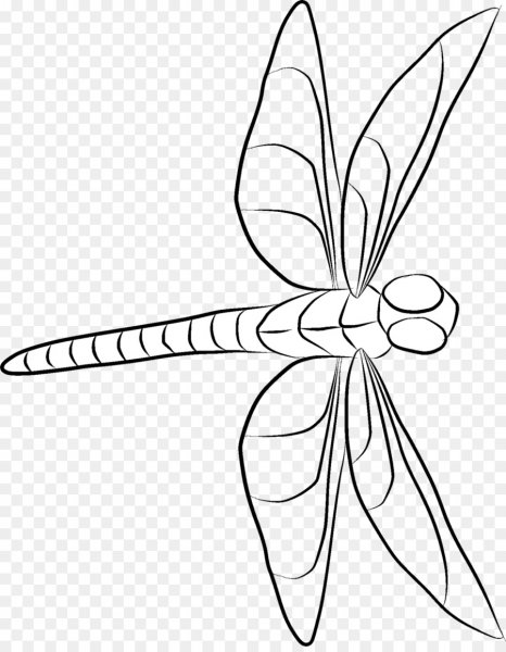 Стрекоза карандашом