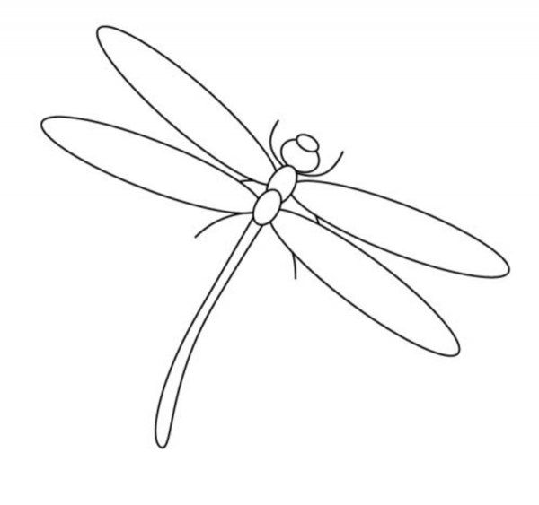 Раскраска бабочки и Стрекозы