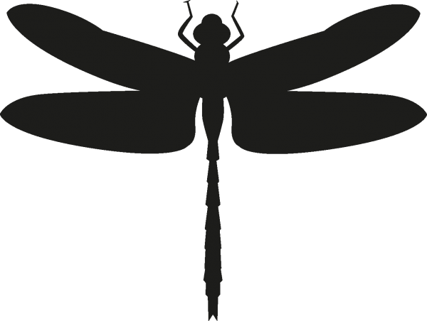 Стрекоза силуэт