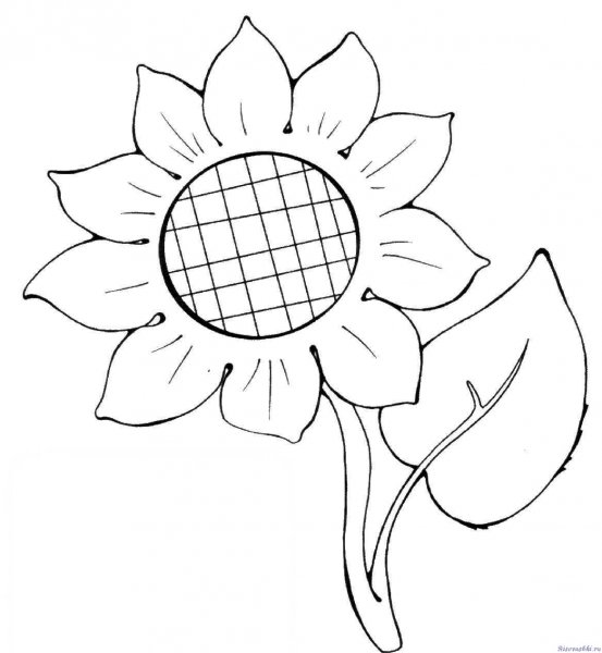 Подсолнух трафарет