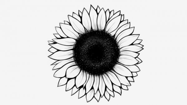 Раскраска. Солнышко