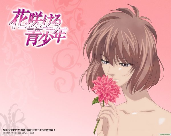 Цветущая Юность обои