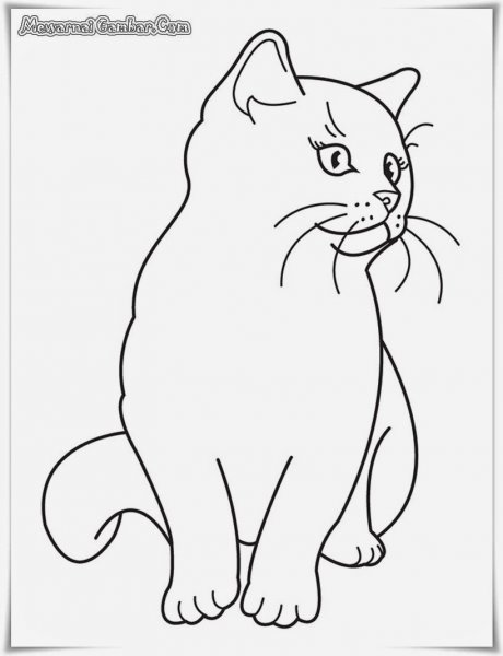 Контуры для рисования для детей