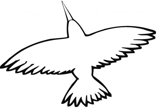 Силуэты птиц для раскрашивания для детей