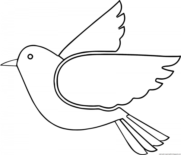 Птицы раскраска для малышей