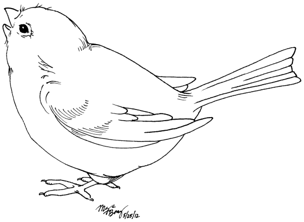 Птица рисунок