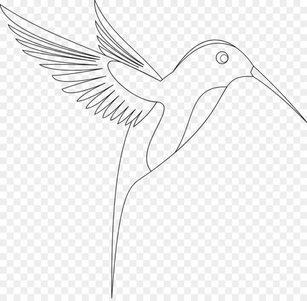 Птица контур Колибри