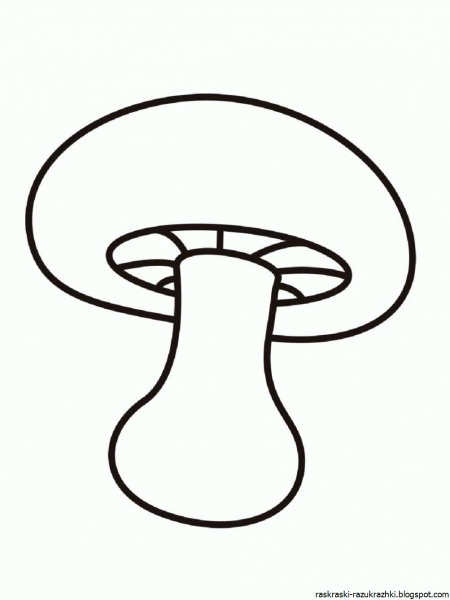Гриб раскраска для малышей