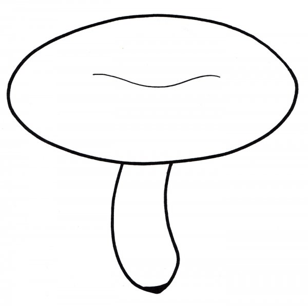 Гриб раскраска