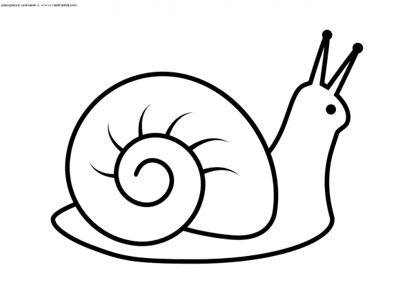 Улитка контур