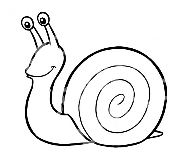 Улитка карандашом