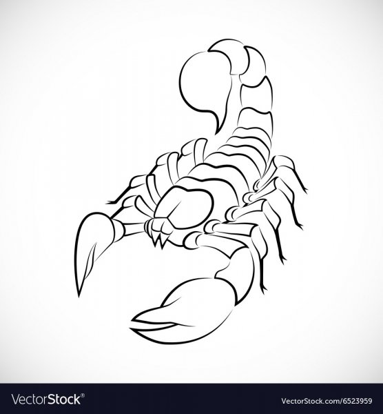 Контурные тату Скорпион