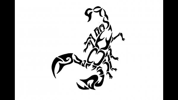 Скорпион трайбл эскиз