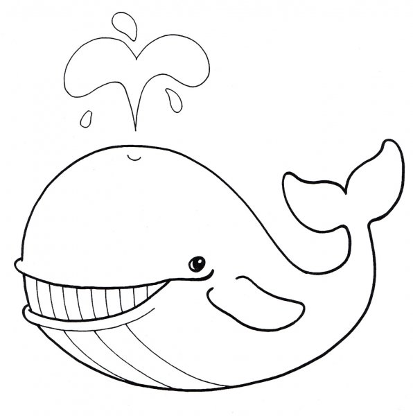 Улыбка кита