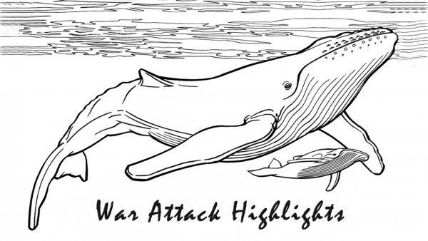 Раскраска Горбач или горбатый кит