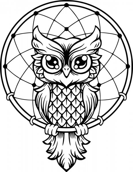 Сова раскраска