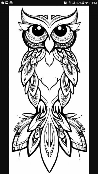 Филин рисунок