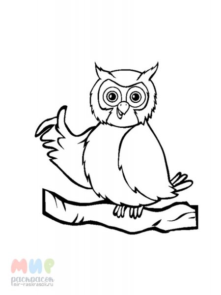 Сова раскраска