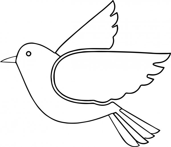 Птица контур