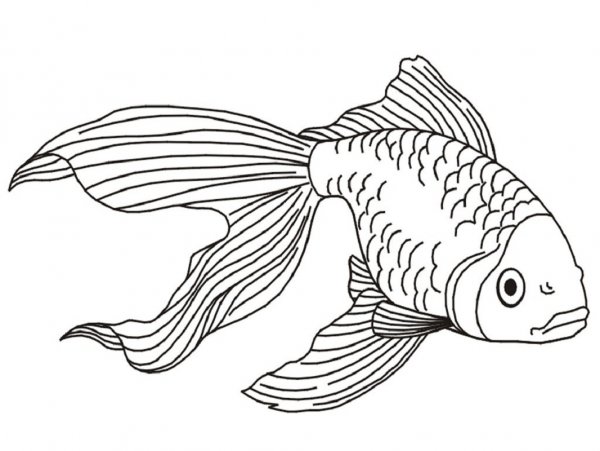 Рыбка для раскрашивания