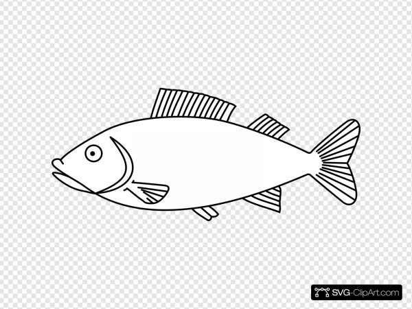 Схематичное изображение рыбы