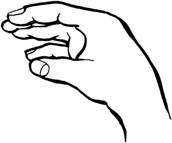 Кисть руки раскраска