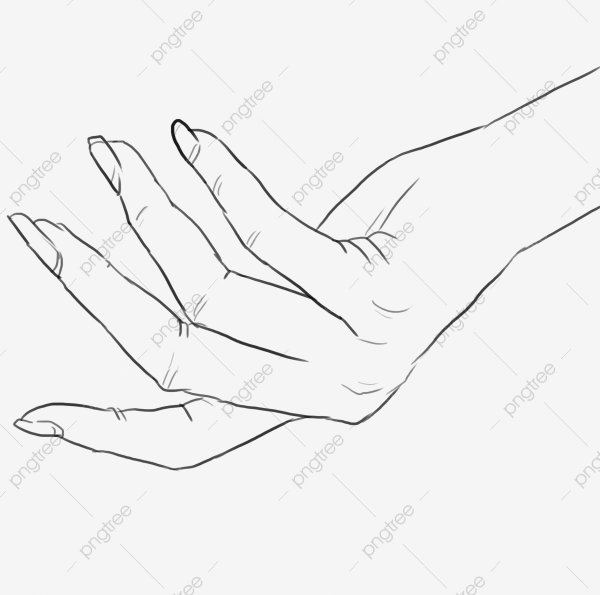 Женские руки карандашом