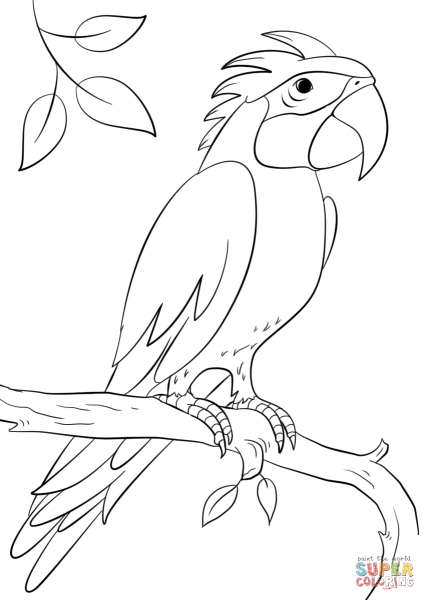 Попугай трафарет для аппликации