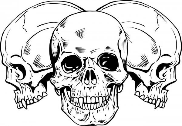 Череп эскиз