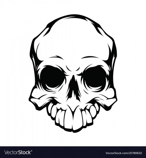 Череп вектор