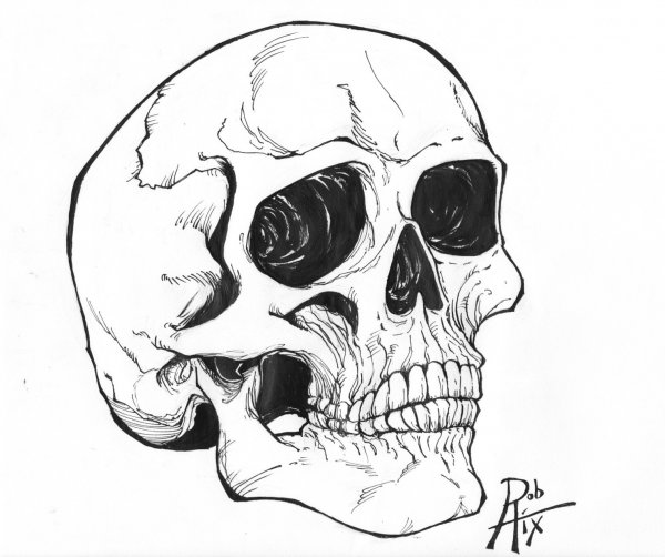 Черепа легкие