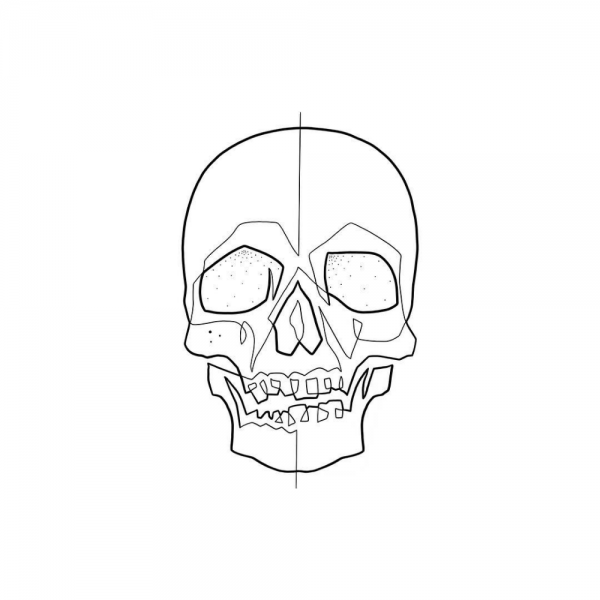 Череп контурный