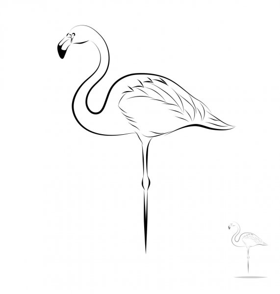 Фламинго контур