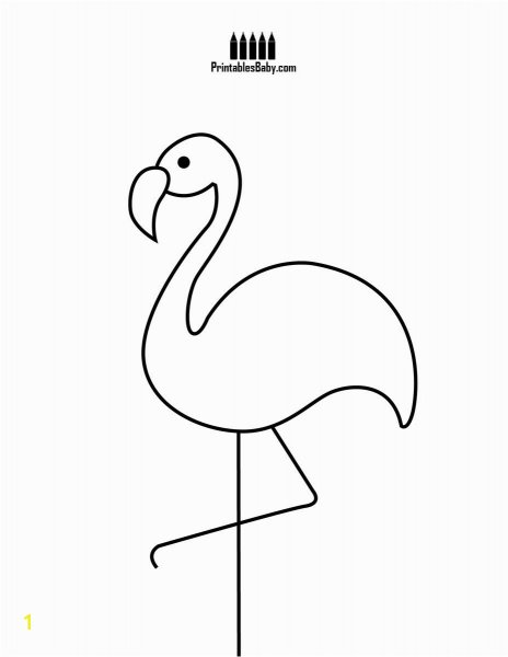 Раскраска птицы Фламинго