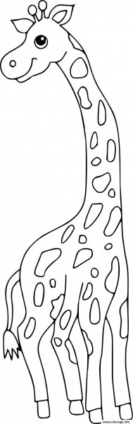 Шаблон жирафа для рисования