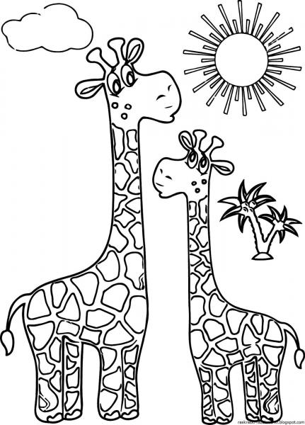 Контурные изображения жирафа