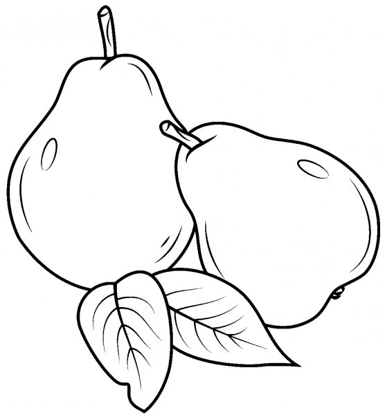 Груша раскраска для детей
