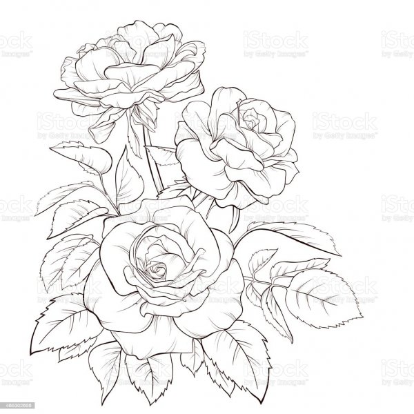 Раскраска цветы