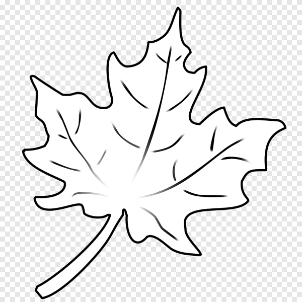 Трафареты кленовых листьев