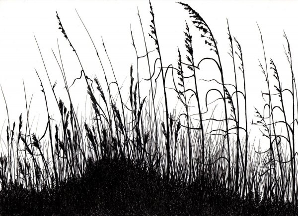 Трава Графика