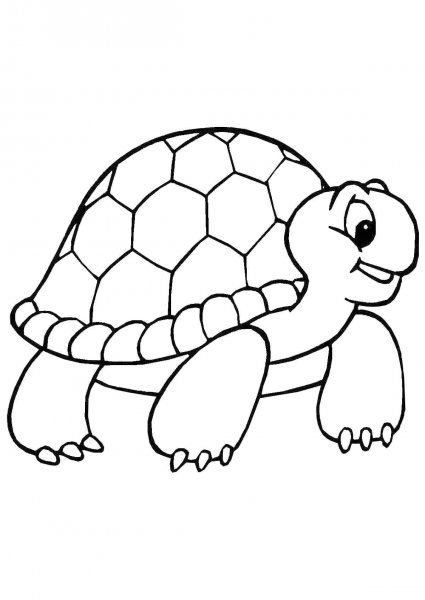 Черепаха картинка для детей раскраска