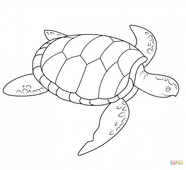 Рисование морская черепаха