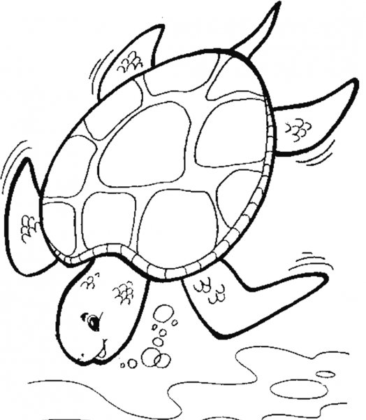 Марская Черепаза раскраска