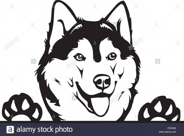 Хаски силуэт